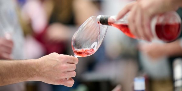 Diseno_sin_titulo_21