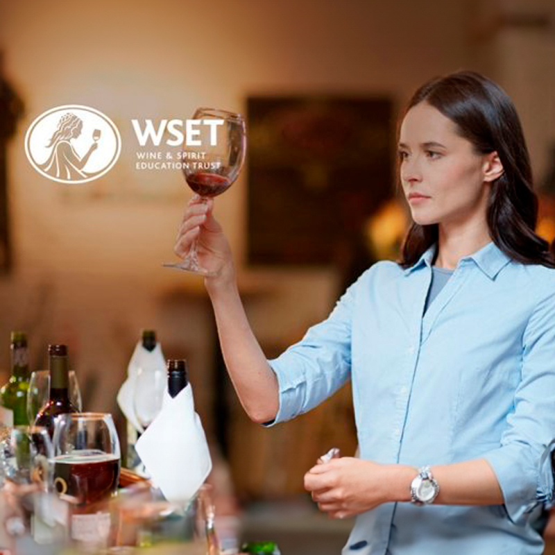 Cursos WSET Nivel 2 y 3 en Olite