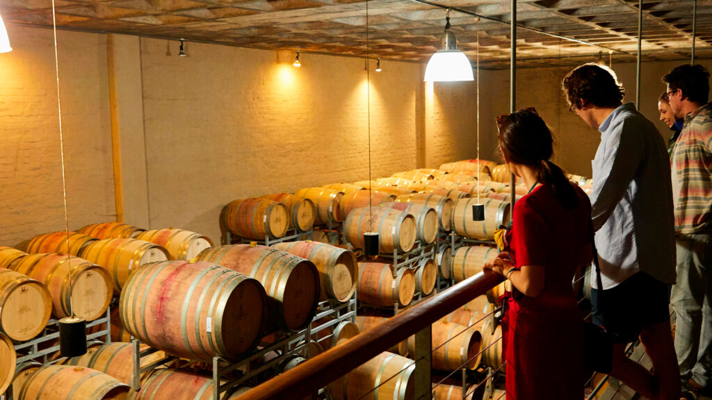 Experiencia ejemplo de Bodega