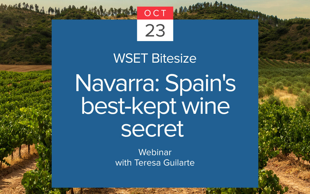 Webinar WSET: Navarra: Spain’s best-kept wine secret