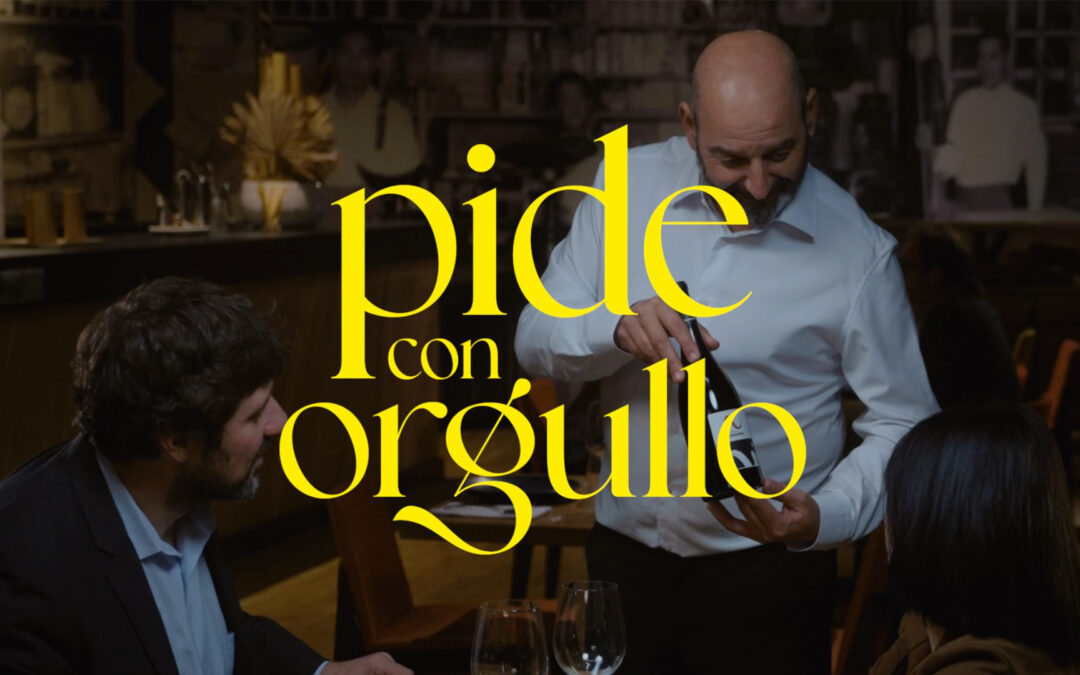“Pide con orgullo, pide Vinos D.O. Navarra”: una campaña para reivindicar el valor de elegir lo nuestro